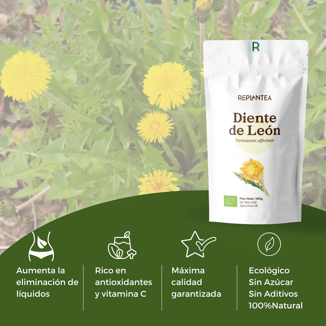 Infusión de Diente de León Ecológica 100g - Imagen 3