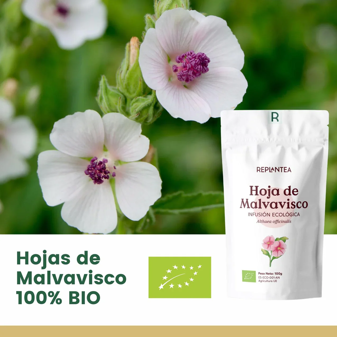 Infusión de Malvavisco o Hierba Cañamera Ecológica 100g - Imagen 3