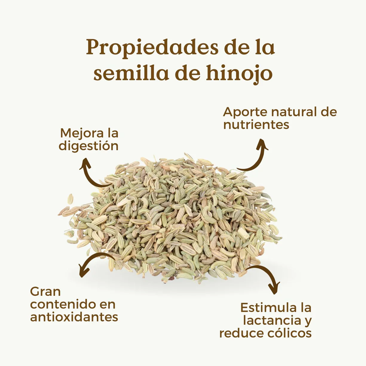 Infusión de Semillas de Hinojo Ecológicas 200g - Imagen 7