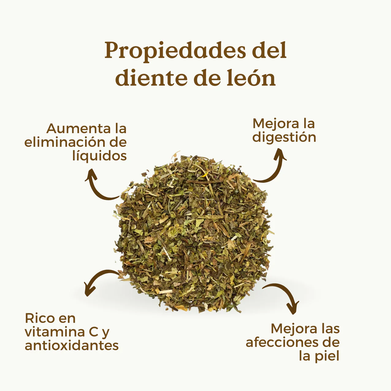 Infusión de Diente de León Ecológica 100g - Imagen 4