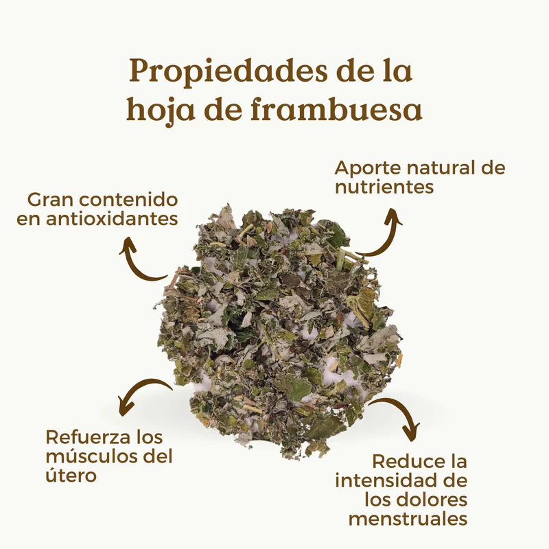 Infusión de Hoja de Frambuesa Ecológica 100g - Imagen 6