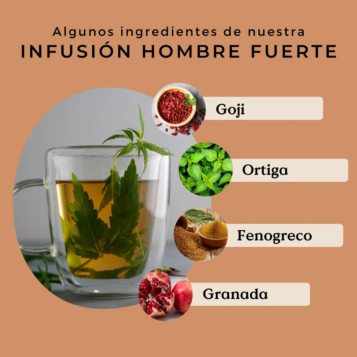 Infusión Hombre Fuerte Ecológica 80g - Imagen 8