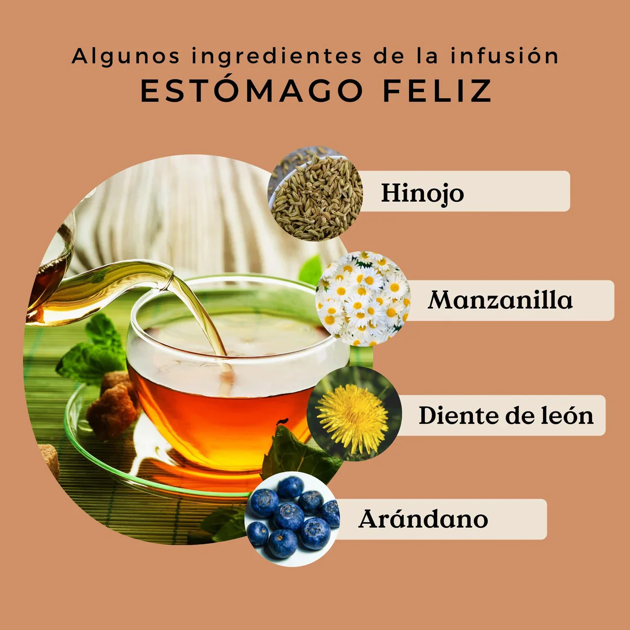 Infusión Estómago Feliz Ecológica 100g - Imagen 3