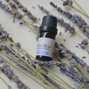 Aceite de Lavanda Tierra mágica