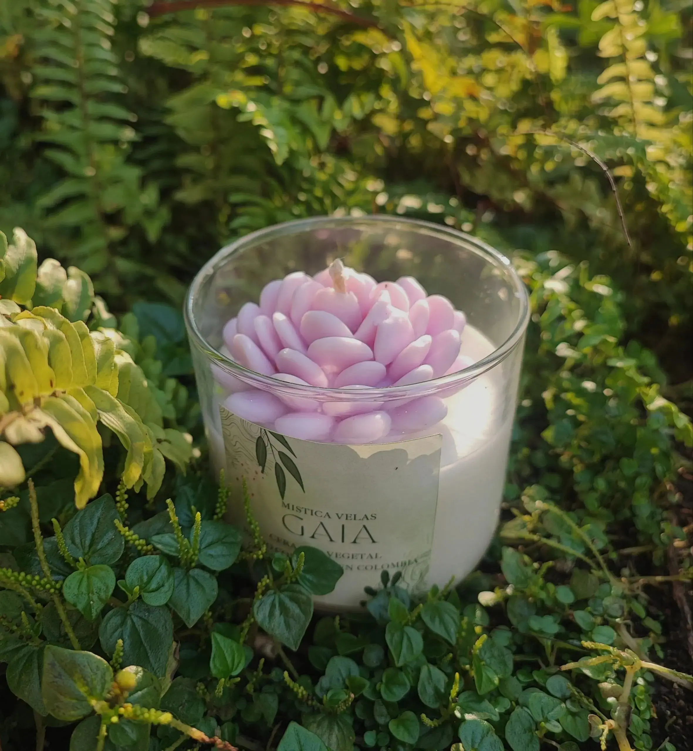 Vela de cera vegetal